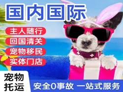 滨海航空快递国际宠物托运 【国